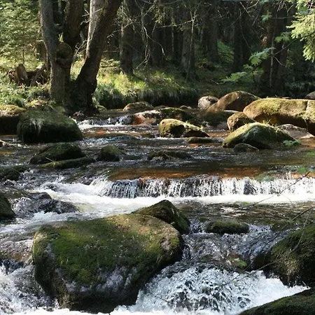 Bergwaldchalet Animal Friend 2 * Schierke