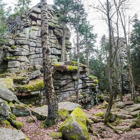 Holiday home Bergwaldchalet Animal Friend 2