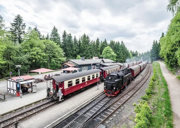 Bergwaldchalet Animal Friend 2 Dom wakacyjny Schierke