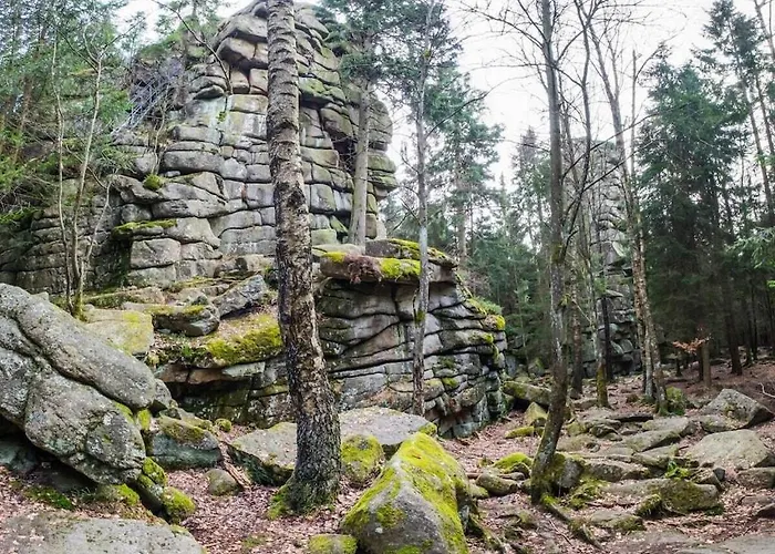 Dom wakacyjny Bergwaldchalet Animal Friend 2